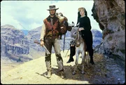 Ein Fressen f&uuml;r die Geier Der Cowboy und die Nonne: Clint Eastwood als Hogan, Shirley MacLaine als Sara