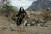 Dies ist nicht der einzige sture Esel, mit dem Sara (Shirley MacLaine) zu k&auml;mpfen hat, wie der englische Filmtitel &bdquo;Two Mules for Sister Sara&ldquo; nahelegt.