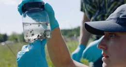Gew&auml;sserrandstreifen: Entnahme einer Wasserprobe.