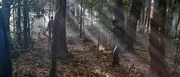 Zwei Polizisten durchsuchen den Wald nach Spuren.