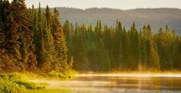 See und Fichtenwald, in den Adirondack Mountains.