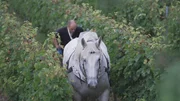 Der Bio-Winzer setzt auf schonenden Weinanbau. Bei der Arbeit mit dem Pferd bleibt der Boden im Weinberg locker.