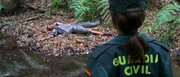 Der ungel&ouml;ste Fall: Ruth Anglada (Ver&oacute;nica Echegui) findet die Leiche von Iv&aacute;n (Lucas Mastrogiuseppe) in den W&auml;ldern La Gomeras.