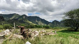 Oahu ist eine Insel mit &uuml;berw&auml;ltigender Natur und faszinierender Vielfalt auf auf kleinstem Raum.