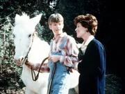 Gro&szlig;e Bewunderung empfindet Jim Bob Walton (David W. Harper, l.) f&uuml;r die Rotkreuz-Mitarbeiterin Sarah Griffith (Lynn Carlin, r.), die nach Waltons Mountain gekommen ist, um ihre gro&szlig;e Liebe wiederzufinden.