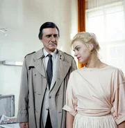 Im Krankenhaus trifft Kriminalkommissar Lenz (Helmut Fischer) die Prostituierten Petty (Brigitte Obermeier). Was verbindet sie mit dem durch eine Kugel schwerverletzten amerikanischen Soldaten Burt Baxter?