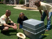 As seen in Skunk Whisperer. As seen in Skunk Whisperer.