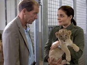 F&uuml;r Dr. F&auml;hrmann (Michael Lesch) ist der L&ouml;wennachwuchs ein Garant f&uuml;r sein neues Projekt, Leipzig wieder im internationalen L&ouml;wenzuchtprogramm zu etablieren. Als er Dr. Susanne Mertens (Elisabeth Lanz) mit dem kr&auml;nkelnden Nachwuchs auf dem Weg in die Krankenstation trifft, brechen die alten Konflikte der beiden Kontrahenten wieder auf.