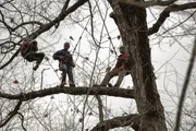 The Climber's Cottage during the build.