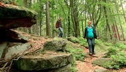 Eine der sch&ouml;nsten Wanderstrecken in Hessen: der Nibelungensteig.