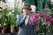 Miss Marple (Julia McKenzie)