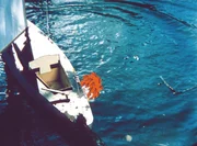 Pumuckl und sein Segelboot.