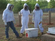 As seen in Skunk Whisperer.