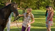 Stolz f&uuml;hrt Ally (Marny Kennedy) einen neuen Hengst auf ihrem Hof vor.