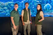 Die Studierenden Nick Konrad (Noel Okwanga, M.) und Lilith Glaser (Madeleine de le Roi, r.) haben ein Problem im Aquarium entdeckt und wollen das im Alleingang lösen. Auch Conny (Thorsten Wolf, l.) wird fatalerweise nicht eingeweiht. Die Studierenden Nick Konrad (Noel Okwanga, M.) und Lilith Glaser (Madeleine de le Roi, r.) haben ein Problem im Aquarium entdeckt und wollen das im Alleingang lösen. Auch Conny (Thorsten Wolf, l.) wird fatalerweise nicht eingeweiht.