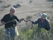 Snake wrangler Eric Timeaus teaches the newcomer special techniques on handling snakes.