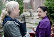Nicole Sommer (Jenny Elvers-Elbertzhagen, l.) erkundigt sich bei Dr. Susanne Mertens (Elisabeth Lanz, r.) nach dem Gesundheitszustand der Elefantendame Don Chung. Susanne m&ouml;chte den erkrankten Fu&szlig; erst einmal mit einer Bewegungstherapie behandeln, bevor sie das Risiko einer Operation eingeht.