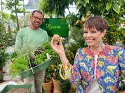 Karl Ploberger, Francine Jordi.