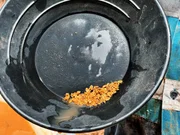 Gold in a pan. Gold in a pan.