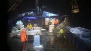 Cape Caution deck work