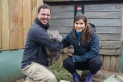 Greg, der Leiter des Wildtierparks Bonorong, hat dieses kleine Wombat-M&auml;dchen aufgezogen.