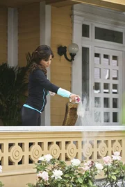 Edies letzte Ruhest&auml;tte soll die Wisteria Lane sein. Bree, Susan, Lynette, Gabrielle (Eva Longoria) und Mrs. McCluskey nehmen jeder auf seine Weise Abschied von ihr ...