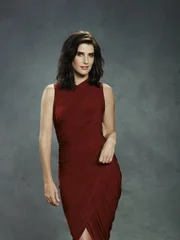 (8. Staffel) - Wie es fr&uuml;her war: Was hat Robin (Cobie Smulders) gedacht, wie hat sie gelebt, was war ihr wichtig ...?