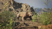 Lystrosaurus lebt vor etwa 250 Millionen Jahren und &uuml;berdauert sogar das Massenaussterben an der Perm-Trias-Grenze. Der Pflanzenfresser mit den charakteristischen Sto&szlig;z&auml;hnen und dem kr&auml;ftigen K&ouml;rperbau war in Afrika und Asien verbreitet.