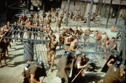 Der Sklave Spartacus f&uuml;hrt eine heftige Revolte gegen die dekadente r&ouml;mische Republik.