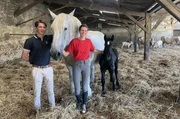 Thomas Bellefontaine und Jeanne Tornier z&uuml;chten die ber&uuml;hmten Percheron-Pferde.