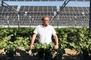 Winzer Damien de Besombes erzeugt auf seinen Weinbergen in der N&auml;he von Perpignan nicht nur Solarstrom, sondern sch&uuml;tzt seine Reben mit den Solarpanelen auch vor zu viel Sonne.