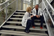 Müssen sich an die neu Anti-Beziehungs-Politik im Krankenhaus halten: Jackson (Jesse Williams, r.) und Arizona (Jessica Capshaw, l.) ... Müssen sich an die neu Anti-Beziehungs-Politik im Krankenhaus halten: Jackson (Jesse Williams, r.) und Arizona (Jessica Capshaw, l.) ...