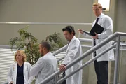 Die neue Anti-Beziehungs-Politik im Krankenhaus sorgt bei Arizona (Jessica Capshaw, l.), Owen (Kevin McKidd, r.), Derek (Patrick Dempsey, 2.v.r.) und Jackson (Jesse Williams, 2.v.l.) für Aufregung ... Die neue Anti-Beziehungs-Politik im Krankenhaus sorgt bei Arizona (Jessica Capshaw, l.), Owen (Kevin McKidd, r.), Derek (Patrick Dempsey, 2.v.r.) und Jackson (Jesse Williams, 2.v.l.) für Aufregung ...