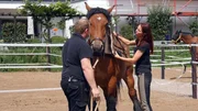 Stephan Eckeberg und Pferdeprofi Sandra Schneider mit "Kathlene"