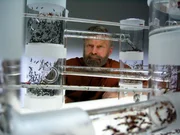 Bert H&ouml;lldobler