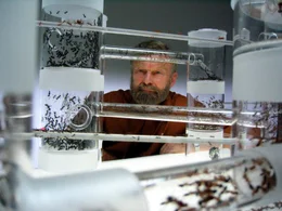 Bert H&ouml;lldobler