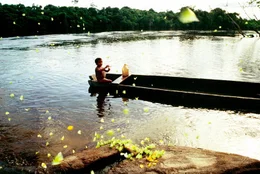 Amazonas bei Iquitos.