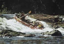 Biologen und Ranger hoffen, Spuren von Riesenottern im Iguacu Nationalpark zu finden.