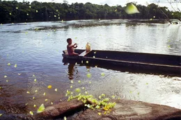 Noch heute profitieren die Menschen am Amazonas von den Segnungen der Sahara. Passatwinde transportieren Wasser, das in der Sahara verdunstet nach S&uuml;damerika. Auf die Weise schafft die W&uuml;ste am anderen Ende der Welt ein gr&uuml;nes Paradies.