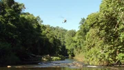 Wissenschaftler und Ranger geben alles, um die letzten noch unber&uuml;hrten Regionen des Iguaz&uacute; Nationalparks zu sch&uuml;tzen.