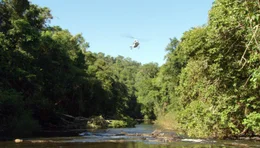 Wissenschaftler und Ranger geben alles, um die letzten noch unber&uuml;hrten Regionen des Iguaz&uacute; Nationalparks zu sch&uuml;tzen.