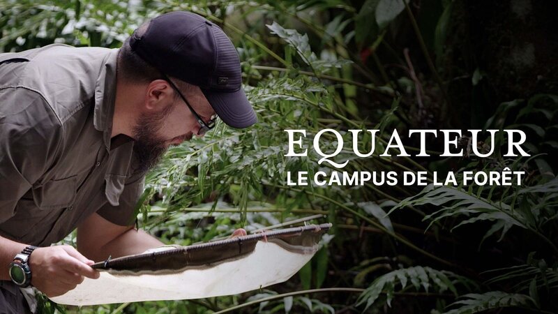 Ecuador - Hörsaal Regenwald (F, 2023)