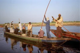 Eine faszinierende Expedition in die Erdgeschichte gibt der provokanten Frage nach dem Ursprung des Amazonas einen neuen Sinn: Sepp Friedhuber, Biologe aus &Ouml;sterreich, und Gero Hillmer, Doyen der deutschen Geologie, verfolgen in dieser  Universum-Dokumentation den ehemals 14.000 km langen Lauf des Ur-Amazonas von den Anden bis in sein historisches Quellgebiet im Zentrum der heutigen Sahara - eine filmische Reise in eine Epoche, als S&uuml;damerika und Afrika noch einen gemeinsamen Kontinent bildeten. Die beiden Wissenschafter reihen wie auf einer Perlenkette Indizien zum Beweis ihrer revolution&auml;ren These aneinander. H&ouml;hepunkt: Der Fund eines 230 Millionen Jahre alten Mesosauriers vor laufender Kamera. Ein Film von Herbert Habersack mit Unterst&uuml;tzung des BMBWK.