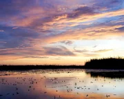 Bangwelulu ist ein Wort der Einheimischen im Nordosten Sambias. Es bedeutet: "Wo das Wasser den Himmel trifft".