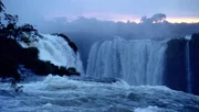 Auf einer Gesamtbreite von etwa 2.700 Meter donnern die Iguaz&uacute;-F&auml;lle an der argentinisch-brasilianischen Grenze in zwei Stufen bis zu 75 Meter hinab. Durchschnittlich 1.700, in niederschlagsreichen Saisonen sogar 7.000 Kubikmeter Wasser pro Sekunde st&uuml;rzen dabei in die Tiefe. Mit ihren 300 Kaskaden sind die Iguaz&uacute;-F&auml;lle f&uuml;nf Mal so gro&szlig; wie die Niagara-F&auml;lle. Die Iguaz&uacute;-F&auml;lle sind aber nicht nur ein atemberaubendes Naturwunder, das j&auml;hrlich vier bis f&uuml;nf Millionen Besucher anlockt. Die Nationalparks beiderseits der Wasserf&auml;lle, die 1984 in die Welterbeliste der UNESCO aufgenommen wurden, sind die Heimat einer vielf&auml;ltigen Tierwelt. Hauptdarsteller in dieser Produktion sind eine Familie von Nasenb&auml;ren, die 20 Meter &uuml;ber dem Waldboden durchs Ge&auml;st turnt, und eine Kolonie von Ru&szlig;seglern, die ihre Zelte direkt hinter dem Wasservorhang der Iguaz&uacute;-F&auml;lle aufgeschlagen hat.  Im Bild: Tief im Herzen S&uuml;damerikas, an der Grenze von Argentinien zu Brasilien, liegen die weltber&uuml;hmten Wasserf&auml;lle von Iguaz&uacute;.