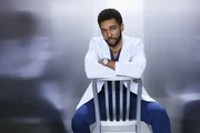 (20. Staffel) - Dr. Winston Ndugu (Anthony Hill) (20. Staffel) - Dr. Winston Ndugu (Anthony Hill)