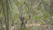 Im Dschungel von Guatemala will Hannah Emde herausfinden, wie intakt der Wald hier noch ist.