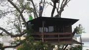 Pete takes a trip to Brazil to look at the tree houses and more specifically their number, style and specificities.