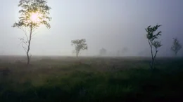 P&uuml;rgschachen Moor in Ardning.