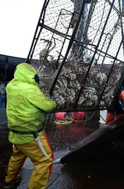Working on deck of the Time Bandit.